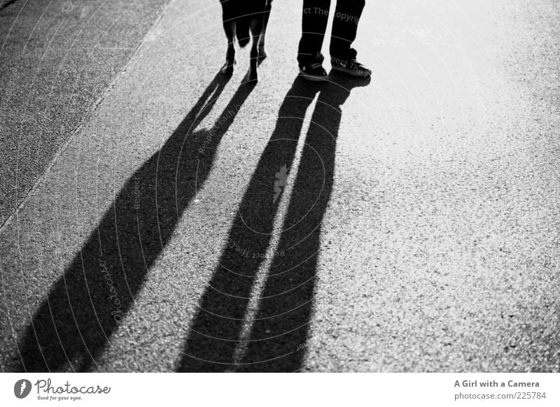 standing tall Human being Legs Feet 1 Beautiful weather Asphalt Footwear Sneakers Animal Pet Dog Stand Wait Love of animals Attachment Together To go for a walk