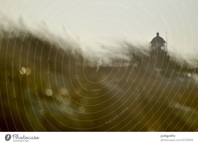 western beach Environment Nature Landscape Climate Wind Grass Coast Baltic Sea Ocean Darss darßer place Lighthouse Natural Wild Moody Navigation Colour photo