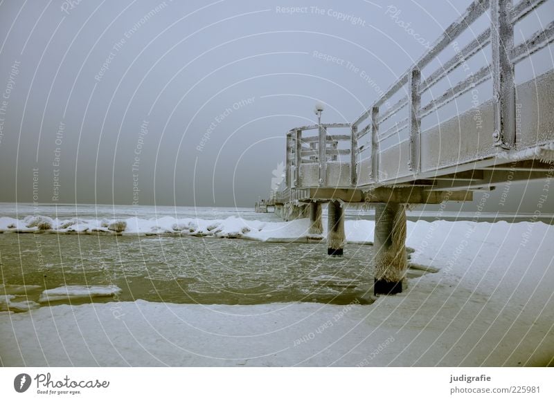 Baltic Environment Nature Landscape Winter Climate Ice Frost Snow Coast Beach Baltic Sea Ocean Wustrow Darss Bridge Cold Natural Moody Tourism Sea bridge