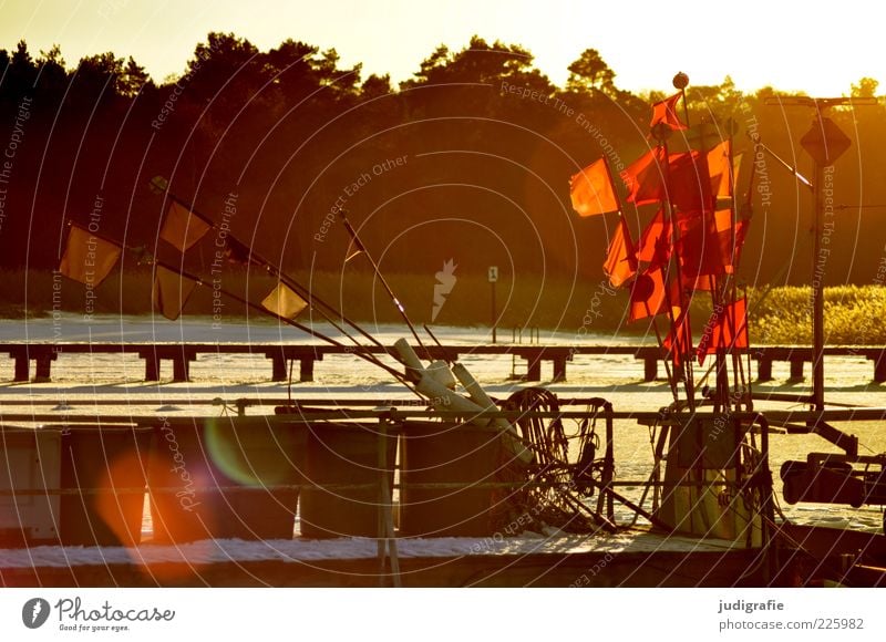 harbor Environment Nature Landscape Sunlight Winter Beautiful weather Ice Frost Snow Coast Lakeside Baltic Sea Darss Prerow Fishing boat Harbour Cold Warmth Red