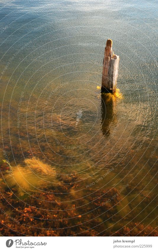 Last Man Standing Water Waves Coast Fluid Wet Blue Brown Joie de vivre (Vitality) Romance Patient Calm Lovesickness Loneliness Hope Environment Wooden stake