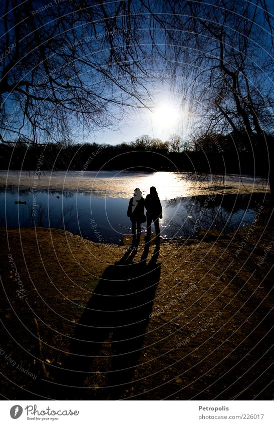 When the sun comes up It will be on our side Masculine Couple 2 Human being Water Beautiful weather Tree Lakeside Think Relaxation To enjoy Looking Emotions