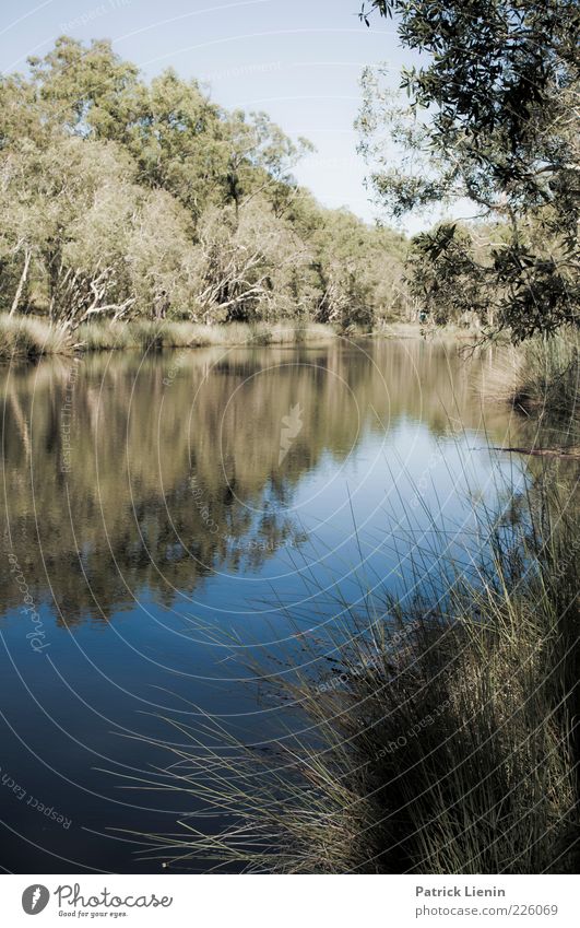 no one knew where we were Environment Nature Landscape Plant Elements Water Sky Summer Weather Beautiful weather Tree Bushes Wild plant Forest Lakeside