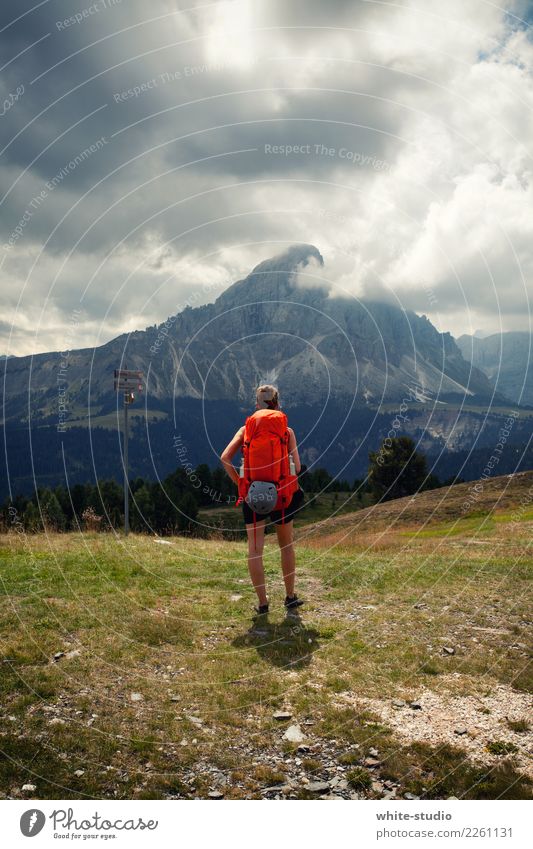 Mountain in sight Vacation & Travel Tourism Trip Adventure Summer Summer vacation Young man Youth (Young adults) 18 - 30 years Adults Hill Rock Alps Fitness