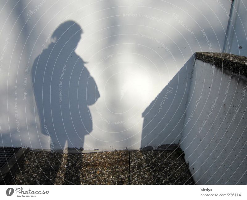 shadow man Masculine Young man Youth (Young adults) Man Adults 1 Human being Wait Wall (barrier) Silhouette Sunlight Wall (building) Contrast Light Colour photo