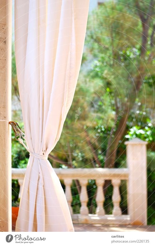 good day sunshine Spring Beautiful weather Garden Dream house Terrace Relaxation Esthetic Green Vacation & Travel Drape Handrail Sandstone Natural stone Majorca