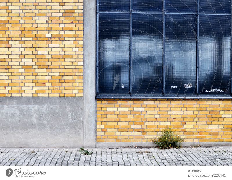 Bad times Deserted House (Residential Structure) Industrial plant Factory Manmade structures Building Architecture Wall (barrier) Wall (building) Facade Window