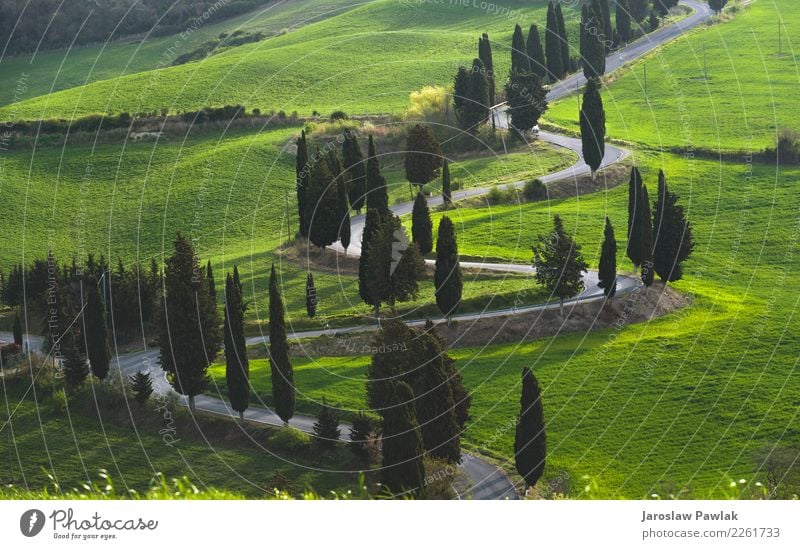 Landscape Road in Tuscany Sunrise Sunset Spring Summer Lightning Tree Meadow Field Emotions Moody Adventure Vacation & Travel Italy Roadside Green Colour photo