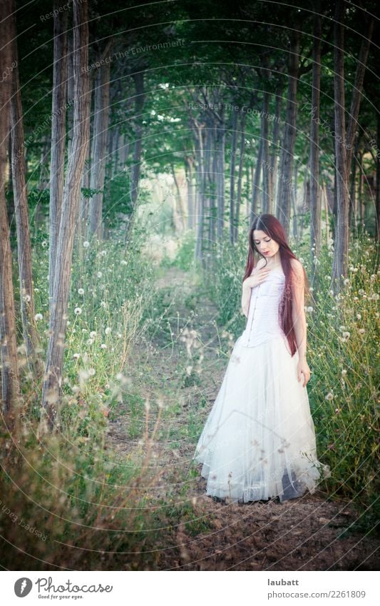 Natural bride Lifestyle Style Exotic Wedding Young woman Youth (Young adults) Youth culture Gothic style Nature Landscape Spring Tree Forest Authentic