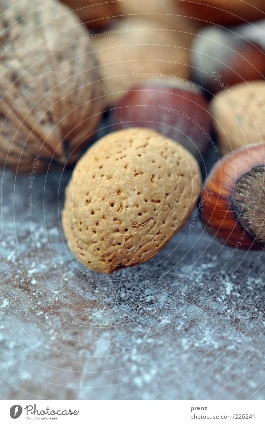 nut mix Food Plant Round Brown Almond Nut Vegetarian diet Stone fruit Ice Walnut Hazelnut Colour photo Exterior shot Close-up Macro (Extreme close-up) Morning