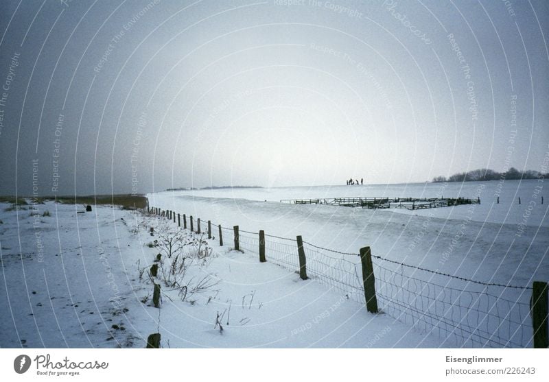 stroll Happy Far-off places Freedom Landscape Sky Ice Frost Snow Baltic Sea Joie de vivre (Vitality) Gray clouds Fence Fence post Wire netting fence Pasture