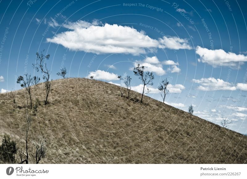 DAYDREAMING Environment Nature Landscape Sky Clouds Sunlight Summer Climate Weather Beautiful weather Plant Tree Bushes Meadow Hill Mountain Tall Round