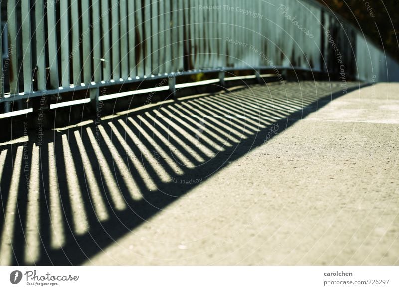 bridge Deserted Bridge Blue Gray Handrail Bridge railing Shadow Colour photo Multicoloured Detail Copy Space right Copy Space bottom Day Silhouette Sunlight