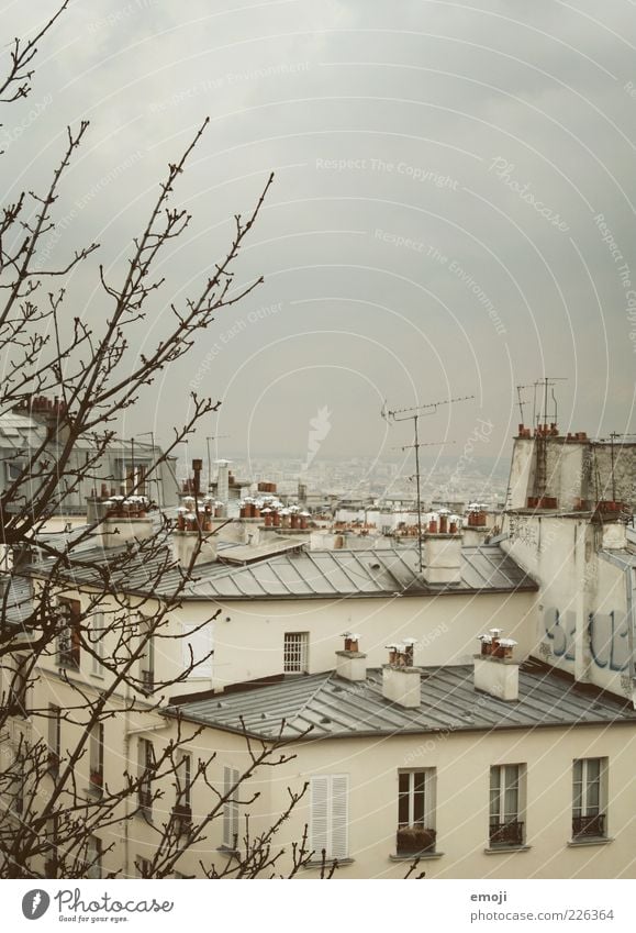 Hotel view III House (Residential Structure) Architecture Wall (barrier) Wall (building) Roof Chimney Antenna Old Gloomy Gray Weather Colour photo