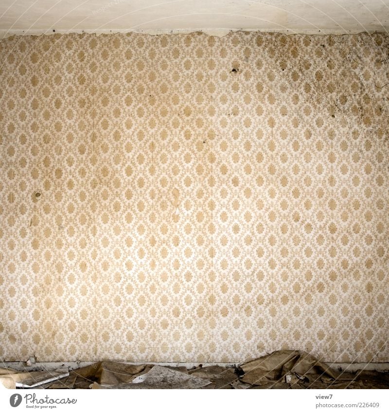 slightly wavy Wallpaper Room Wall (barrier) Wall (building) Ornament Old Dirty Dark Authentic Simple Broken Retro Cliche Trashy Loneliness Decline Past