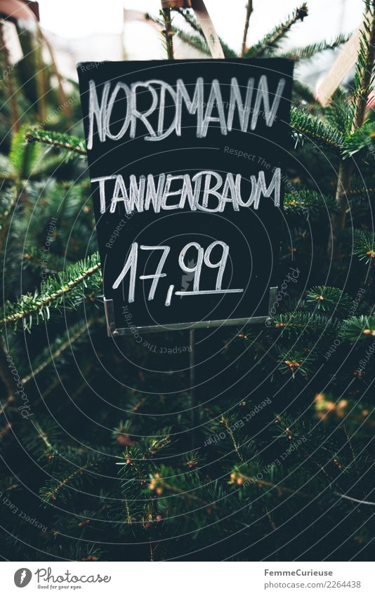 Handwritten price tag for 'Nordmann Tannenbaum' (Christmas tree) Nature Shopping Price tag northman Fir tree Christmas & Advent Flower shop Chalk Blackboard