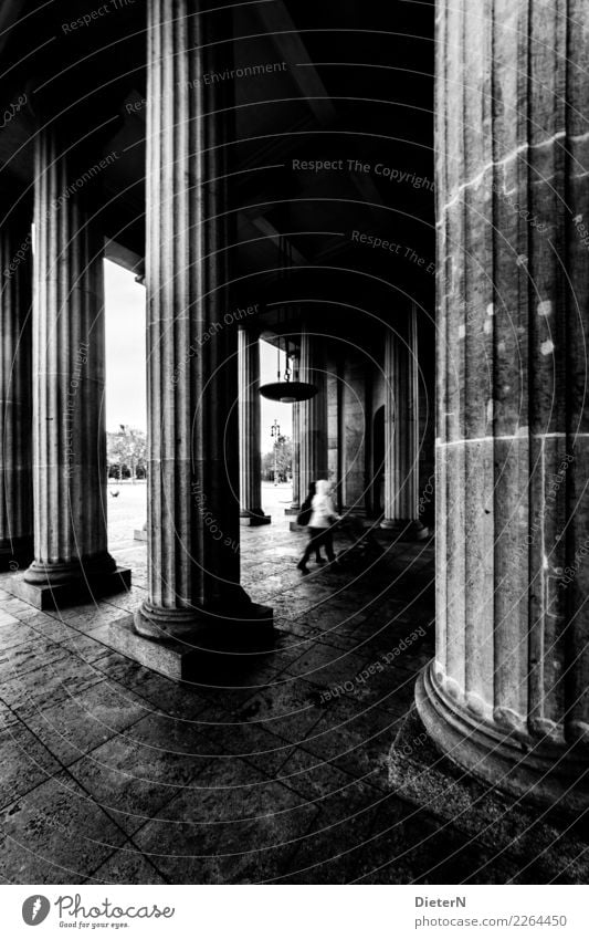 columns Berlin Capital city Downtown Manmade structures Building Architecture Tourist Attraction Brandenburg Gate Gray Black White Column Paving stone