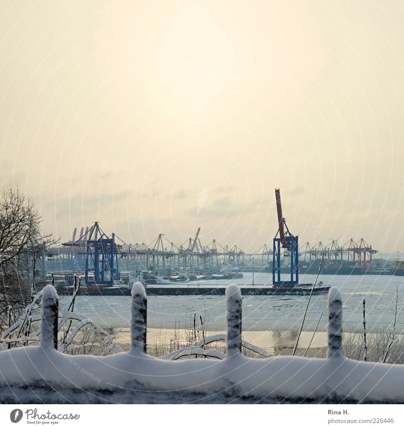 Port of Hamburg in Winter II Industry River bank Town Port City Harbour Navigation Inland navigation Cold Crane Colour photo Exterior shot Deserted