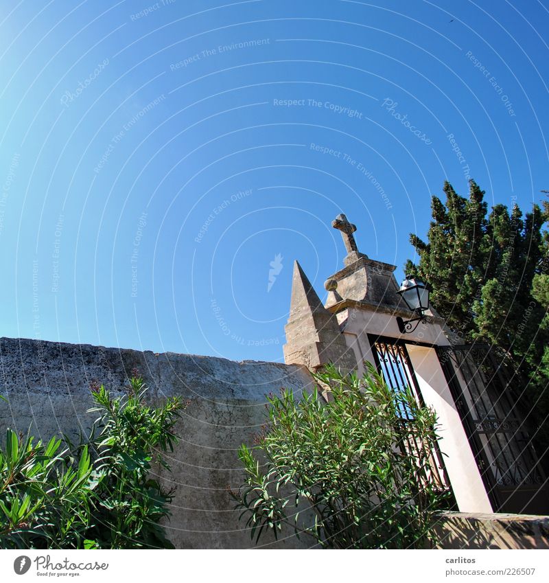 cementerio Cloudless sky Summer Beautiful weather Oleander Cypress Wall (barrier) Wall (building) Door Old Sadness Cemetery Gate Christian cross Lantern Green