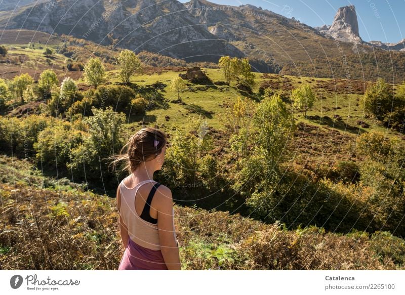 Let's go, young woman hiking in mountain landscape Feminine Young woman Youth (Young adults) 1 Human being Landscape Cloudless sky Summer Beautiful weather Tree