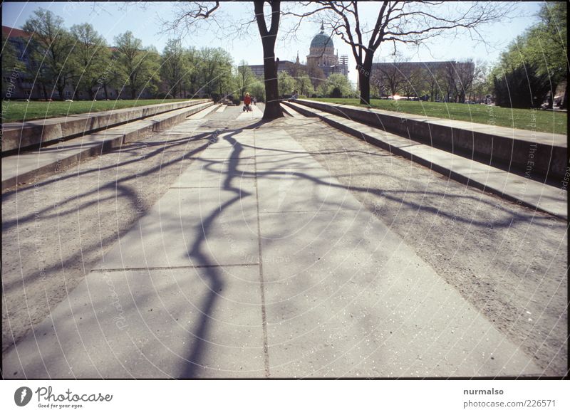 city veins Environment Potsdam Deserted Park Pedestrian Esthetic Sharp-edged Trashy Gloomy Town Stagnating Tree Branch Bleak Middle Paving tiles Church