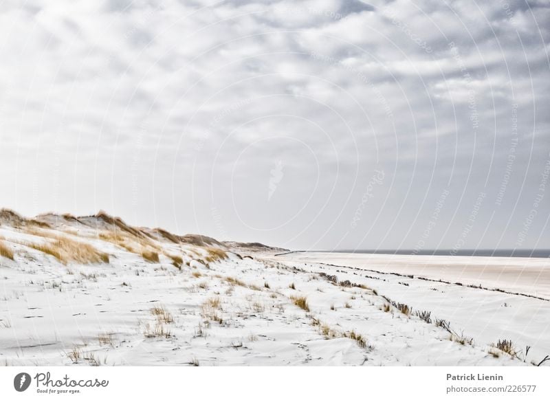 Peace & Quiet Environment Nature Landscape Elements Sand Air Water Sky Clouds Horizon Sunlight Climate Weather Beautiful weather Wind Plant Bushes Coast Beach