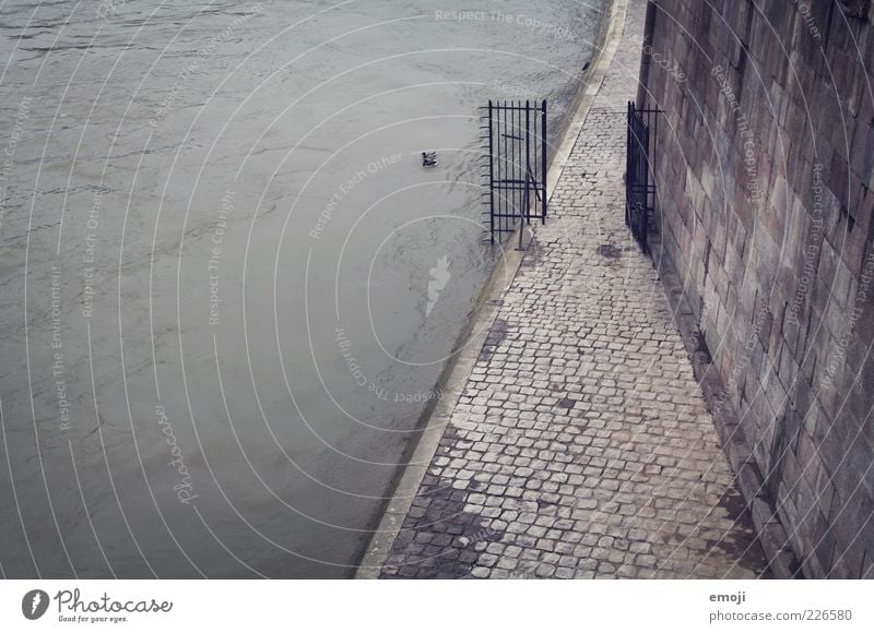 Seine Autumn Winter River bank Dark Cold Gloomy Gray Sidewalk Wall (building) Wall (barrier) Gate Water Paving stone Narrow Sadness Colour photo Subdued colour