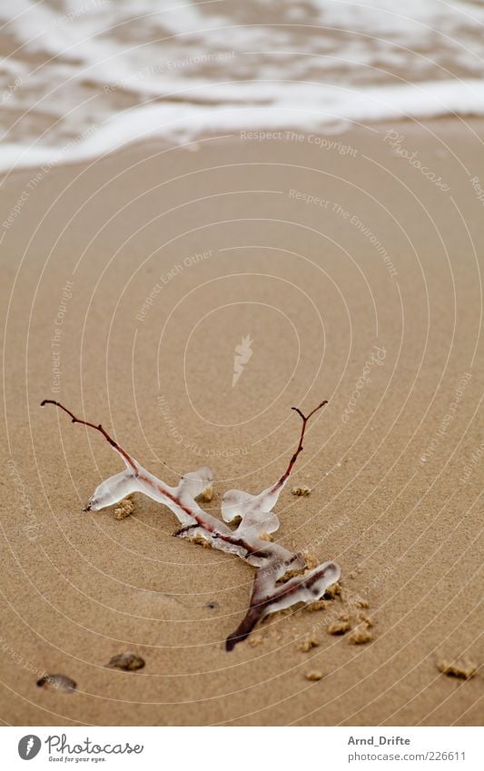 freezing cold Beach Nature Landscape Sand Water Winter Ice Frost Waves Coast Baltic Sea Ocean Loneliness Colour photo Subdued colour Exterior shot Deserted