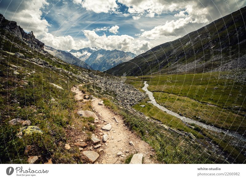 A lonely path. Environment Nature Landscape Plant Clouds Summer Rock Alps Mountain Snowcapped peak Beautiful Dream landscape Recreation area Adventure