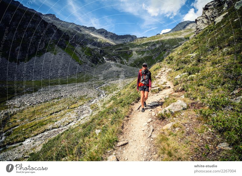 The path Woman Adults Hiking Lanes & trails Footpath Panorama (View) To go for a walk Going Mountain Mountaineering panoramic trail Landscape Nature reserve