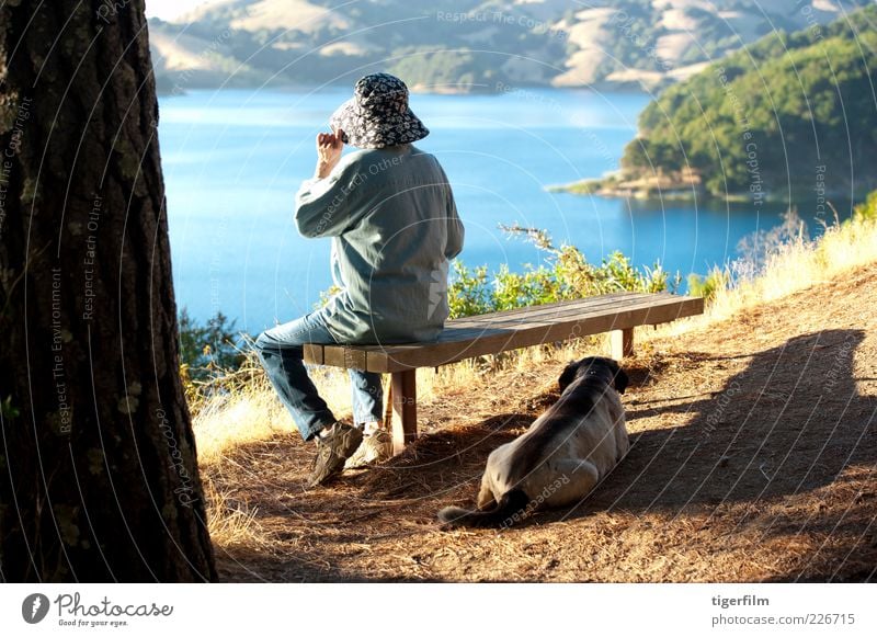 overlooking a lake senior Lady Woman Old Dog Rest Reservoir California Beautiful weather Sunlight Afternoon Stick Walking stick Bench Lake Blue Hill Looking Hat