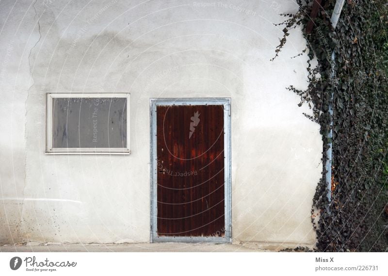 Door Window Ivy Plant House (Residential Structure) Wall (barrier) Wall (building) Facade Simple Farm Colour photo Exterior shot Deserted Tendril Leaf