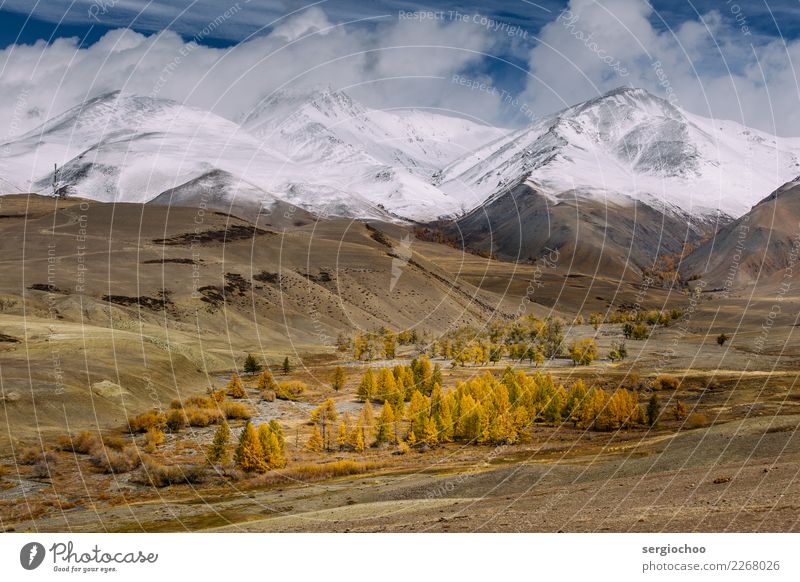 winter is coming Climbing Mountaineering Hiking Nature Landscape Clouds Storm clouds Sun Autumn Winter Climate Climate change Weather Snow Tree Meadow Field