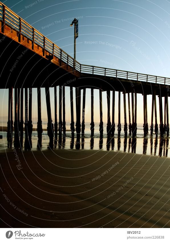 under the pier Vacation & Travel Beach Ocean Sand Water Coast Calm Relaxation California Jetty Bridge Bridge pier Construction USA Americas pismo beach