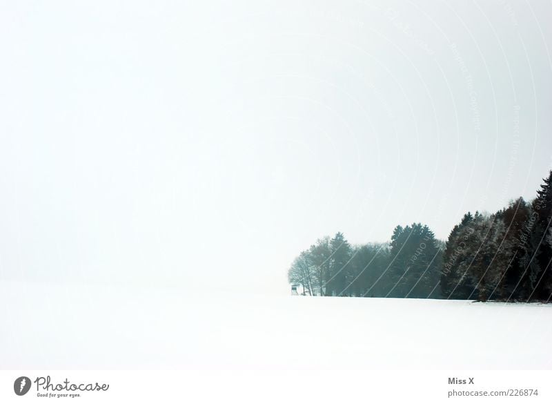 White and forest Landscape Sky Clouds Winter Bad weather Fog Snow Tree Forest Bright Black & white photo Exterior shot Deserted Copy Space left Back-light