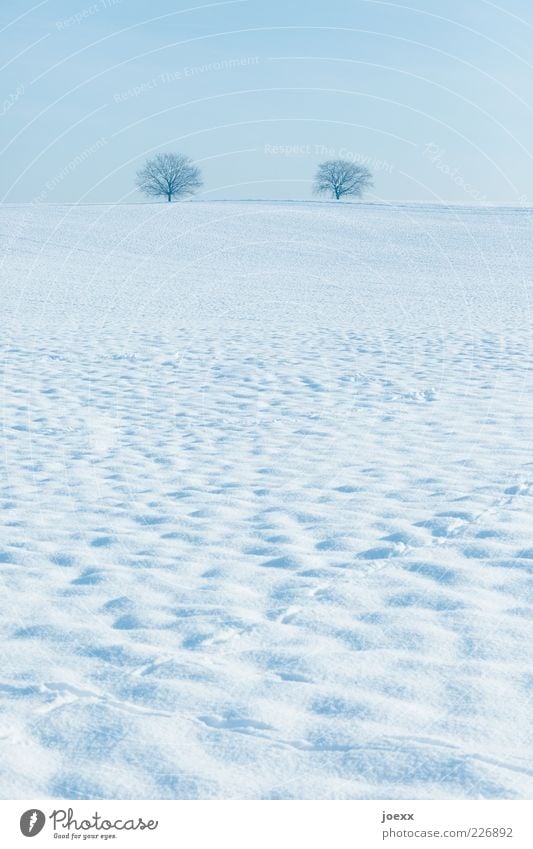 royal children Nature Landscape Sky Horizon Winter Beautiful weather Ice Frost Snow Tree Hill Blue White Calm Snowscape Colour photo Subdued colour Deserted