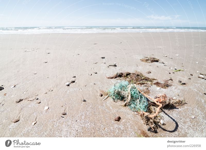 network problem Far-off places Freedom Sand Water Summer Coast Beach North Sea Ocean Lønstrup Denmark Fishing net Rope Net Broken Environmental pollution Trash