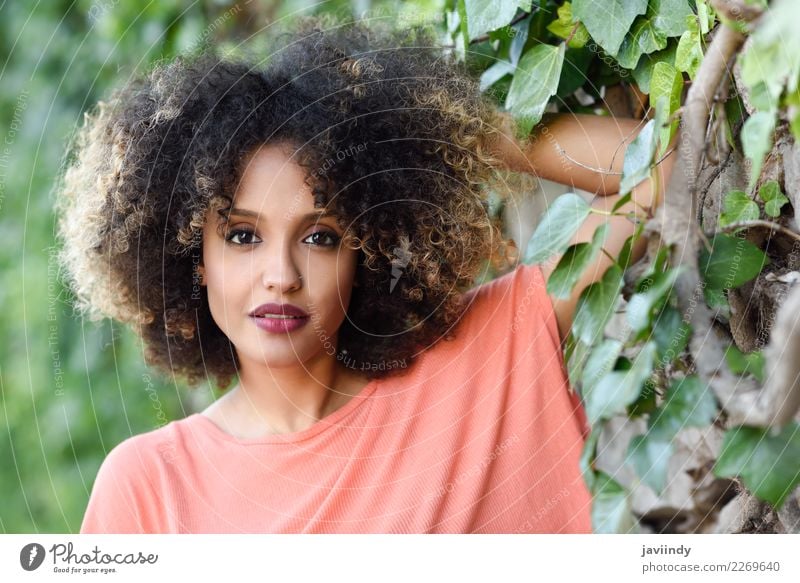 Mixed woman with afro hairstyle standing in an urban park Lifestyle Style Beautiful Hair and hairstyles Face Human being Young woman Youth (Young adults) Woman