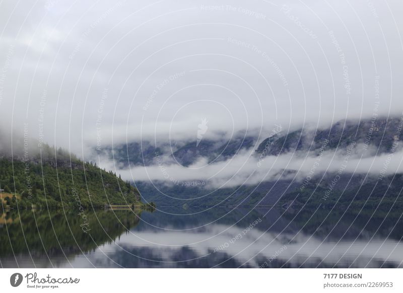 Hidden Landscape Clouds Weather Fog Rock Lakeside Fjord Swimming & Bathing Looking Dream Far-off places Free Serene Patient Calm Adventure Climate