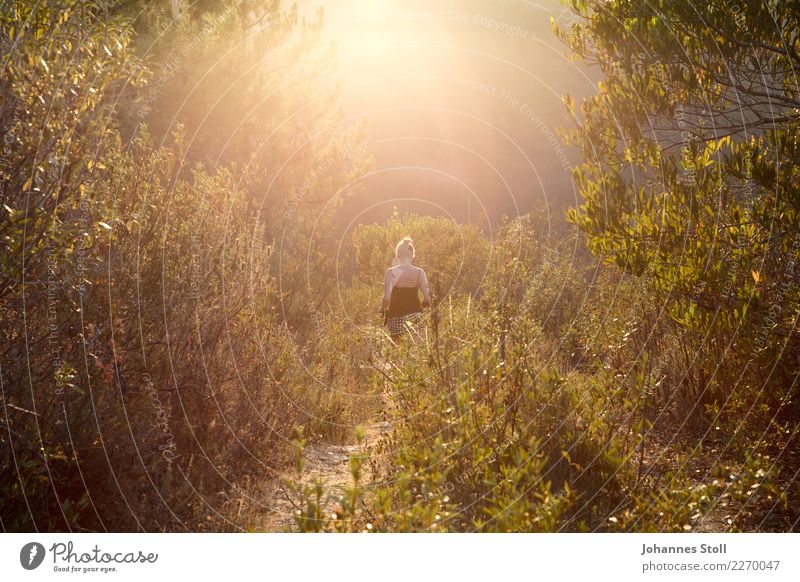 Garten der Sonne Well-being Adventure Summer vacation Sun Feminine Young woman Youth (Young adults) Back 1 Human being 18 - 30 years Adults Nature