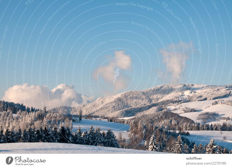 Black Forest, powdered Environment Nature Landscape Plant Sky Clouds Sunrise Sunset Winter Beautiful weather Ice Frost Snow Tree Hill Mountain Peak