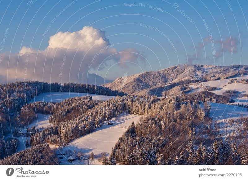 Pink icing sugar Environment Nature Landscape Sky Clouds Winter Beautiful weather Ice Frost Snow Plant Tree Forest Hill Mountain Snowcapped peak Blue Snowfall