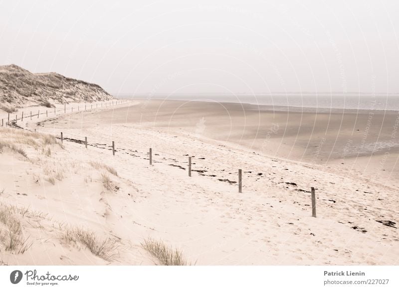 low tide Environment Nature Landscape Elements Sand Sky Weather Bad weather Coast North Sea Ocean Soft Amrum Fence Curved Dune Beach Low tide Relaxation Calm