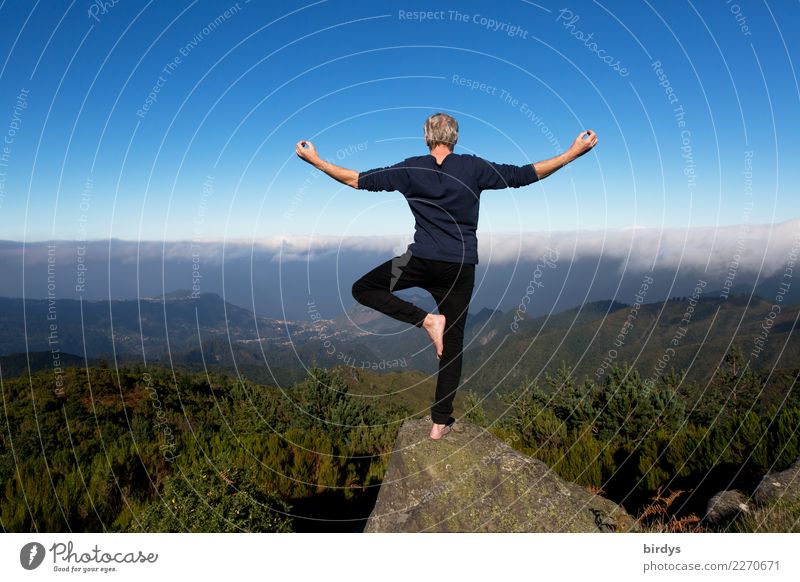 Man in a yoga pose on the top of a mountain looking over the clouds Yoga Yoga posture Mountain summits Healthy mountain panorama Life Senses Idyll Meditation