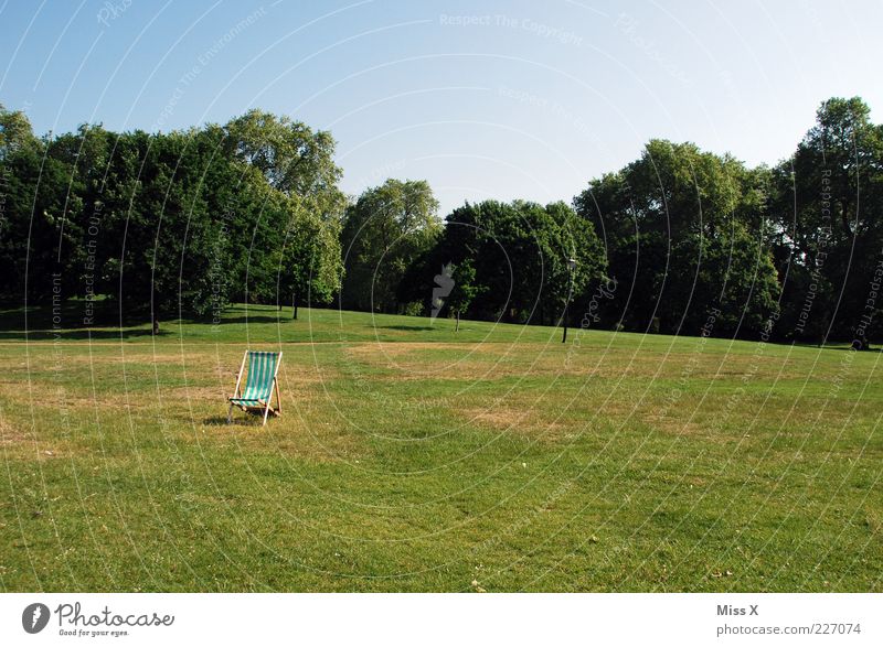 solitary Chair Nature Summer Beautiful weather Tree Grass Park Meadow Loneliness Individual Garden chair Seat Hyde Park Green Colour photo Exterior shot