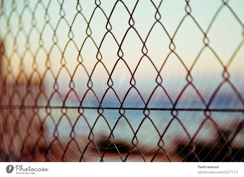 FAR Summer Horizon Sunrise Sunset Hope Longing Homesickness Wanderlust Fence Enclosed Closed Captured Barrier Needs Fenced in Wedged View from a window