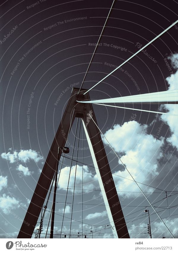 Cloud Bridge Cologne Clouds Steel Concrete Aluminium Manmade structures Severins bridge Connect Wire Electricity Light Cologne-Deutz Sky Blue Rope Carrying