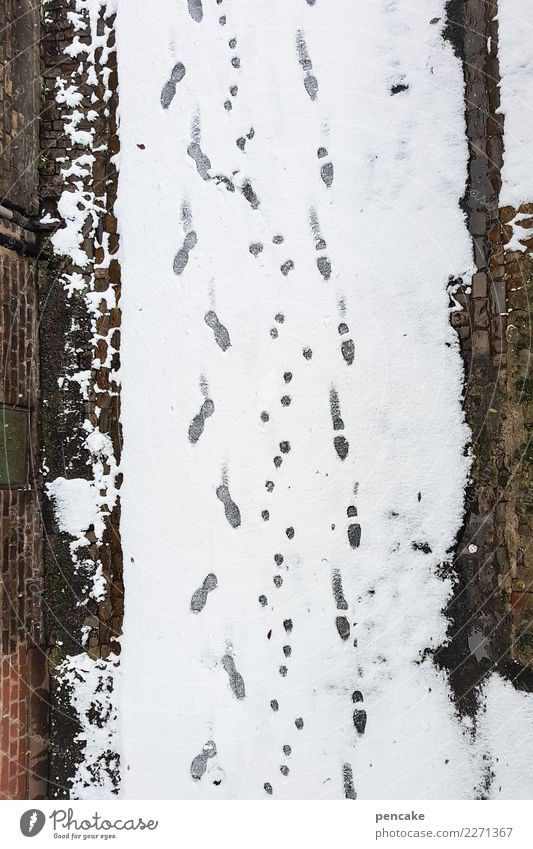 walk 2 Human being Elements Winter Snow Old town Animal 1 Authentic Tall Cold Footprint Brick facade Tracks Funny Street Colour photo Subdued colour