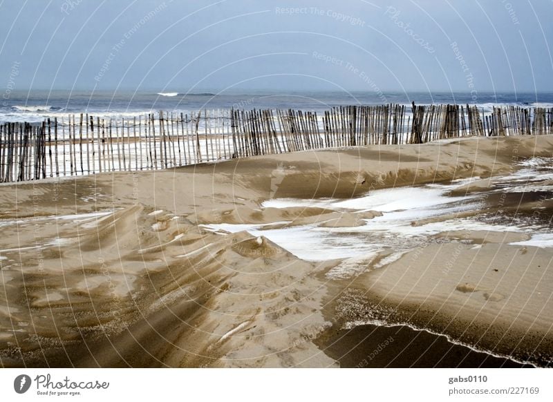 cold coast Environment Nature Landscape Sand Air Water Sky Horizon Winter Wind Snow Waves Coast North Sea Ocean Far-off places Cold Beautiful Gloomy Wild Blue