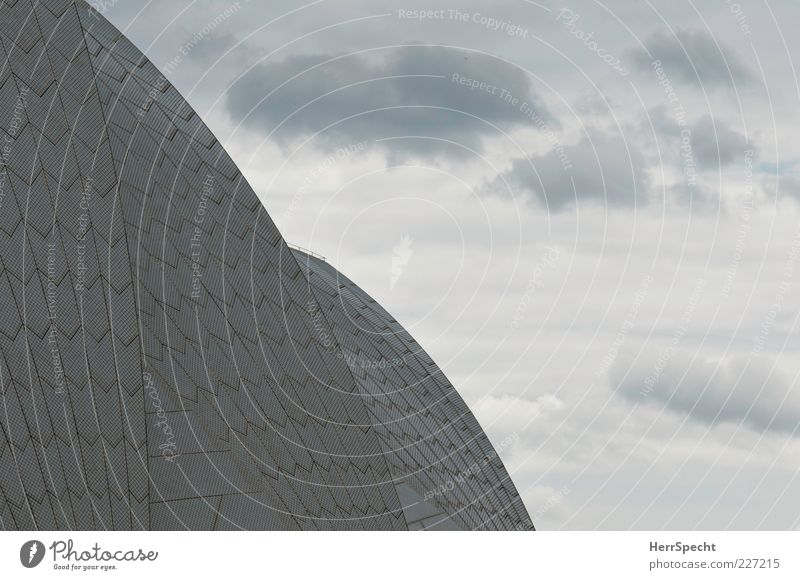 Sails in the wind Clouds Sydney Port City Roof Tourist Attraction Landmark Sydney Opera House Gray White Pottery Tile Vaulting Clouds in the sky Detail